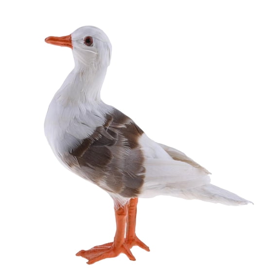 Aymzbd Lifelike Feathered Seagull Home Adornment Decoration Handmade Crafts Simulation