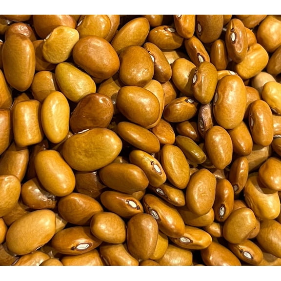 Sherwood's Seeds 20 Ayocote Amarillo Bean Plant Seed, Dense and Starchy Beans