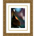 thumbnail image 1 of Ayrault, Marc 12x14 Gold Ornate Wood Framed with Double Matting Museum Art Print Titled - Feuilles Prunus 2, 1 of 4