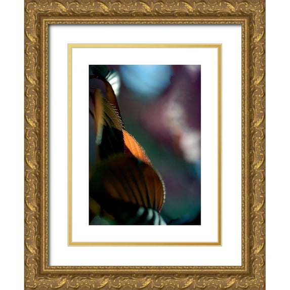 Ayrault, Marc 12x14 Gold Ornate Wood Framed with Double Matting Museum Art Print Titled - Feuilles Prunus 2