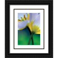thumbnail image 1 of Ayrault, Marc 25x32 Black Ornate Wood Framed with Double Matting Museum Art Print Titled - Tulipe 7, 1 of 4