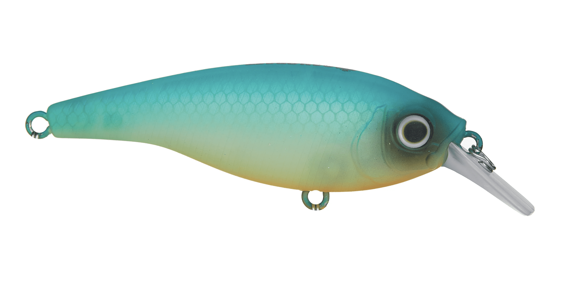 Ayrton 63SR Crankbait Muddy Legend