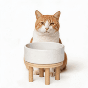 Aystkniet Cat Dog Bowl Stand with 1 Ceramic Bowl, Bamboo