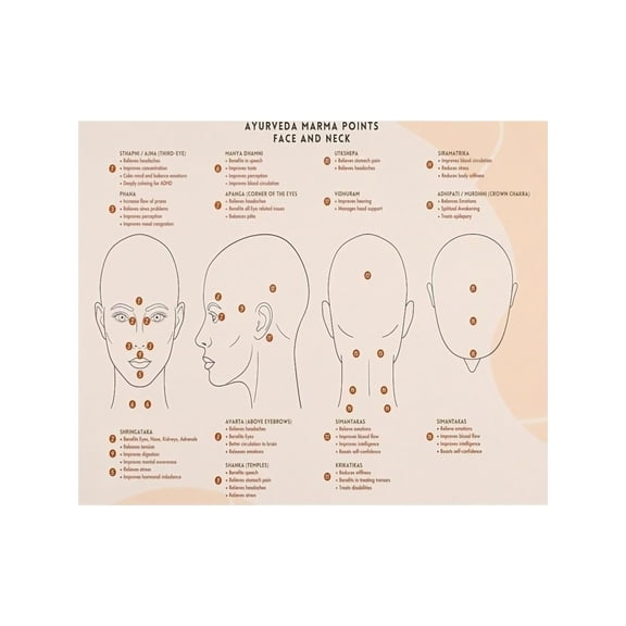 Ayurvedic Pressure Points Poster Facial Neck Acupressure Chart for Massage Therapist Wellness Spa Home Wall Decor