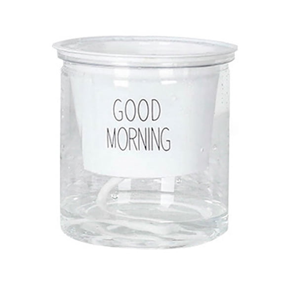 Ayyufe 2 Sets Double Tier Hydroponic Epipremnum Aureum Self-watering Flowerpot Home Decor