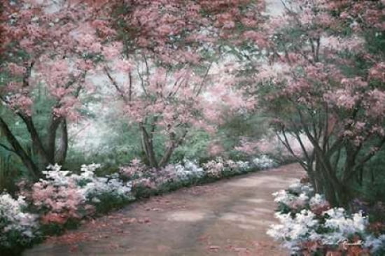 Azalea Walk Canvas Art - Diane Romanello (20 x 28)
