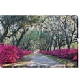 thumbnail image 1 of Azaleas, Bonaventure Savannah by Winthrope Hiers Premium Gallery-Wrapped Canvas Giclee Art - 16 x 24 x 1.5 in., 1 of 1
