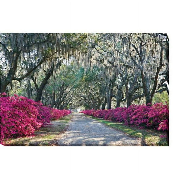 Azaleas, Bonaventure Savannah by Winthrope Hiers Premium Gallery-Wrapped Canvas Giclee Art - 16 x 24 x 1.5 in.