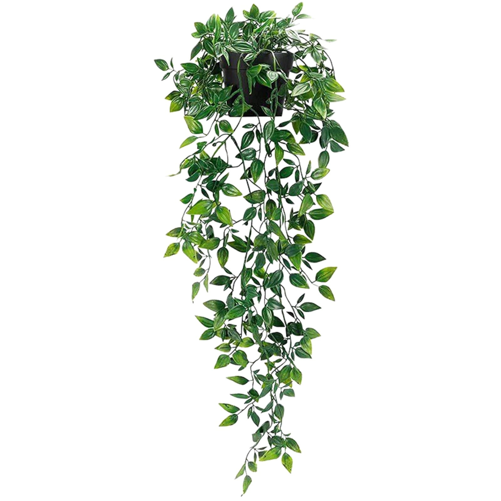 Azaleas Flower Decoration Flower Bed Horticultural Layout Project