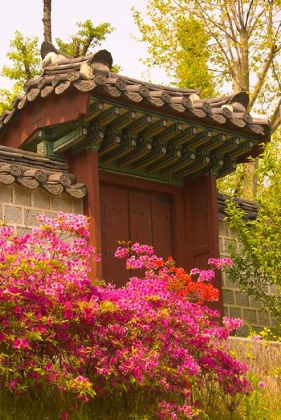 Azaleas The Deoksugung Palace Complex Seoul South Korea Canvas Art - Ellen Clark DanitaDelimont (15 x 22)