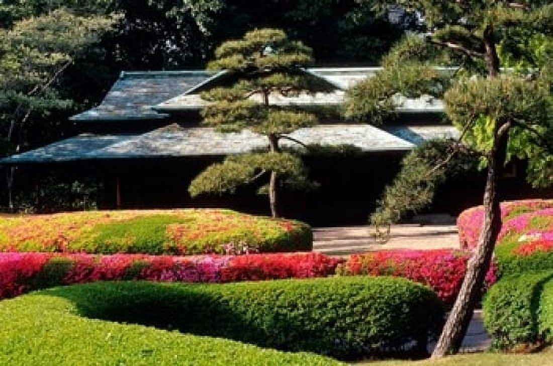 Azaleas at the Imperial Palace East Gardens Tokyo Japan Canvas Art - Jaynes Gallery DanitaDelimont (36 x 24)