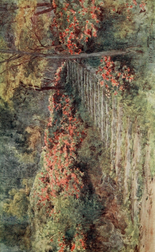 Azaleas by an old stairway Japanese Gardens 1912 Canvas Art - Walter Tyndale (18 x 24)