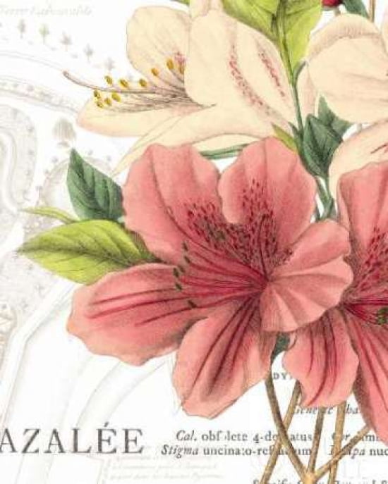 Azalee Jardin I Canvas Art - Wild Apple Portfolio (24 x 30)
