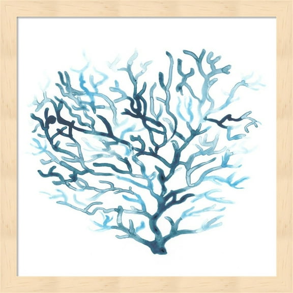 Azure Seafan II by June Erica Vess, Framed Wall Art, 13.25W x 13.25H