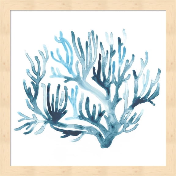 Azure Seafan III by June Erica Vess, Framed Wall Art, 13.25W x 13.25H