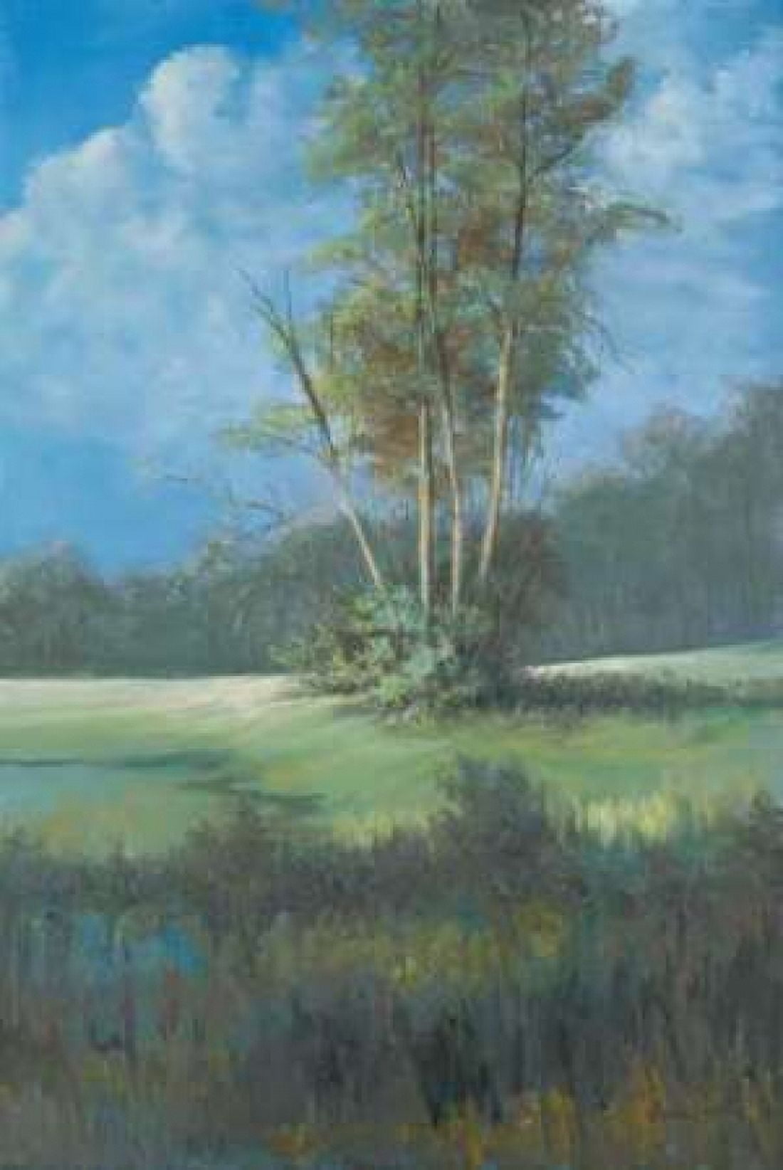Azure Sky II Canvas Art - Linda Wacaster (12 x 18)