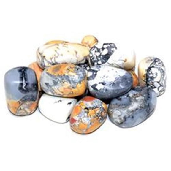 AzureGreen GTJASMB 1 lbs Jasper, Maligano Tumbled