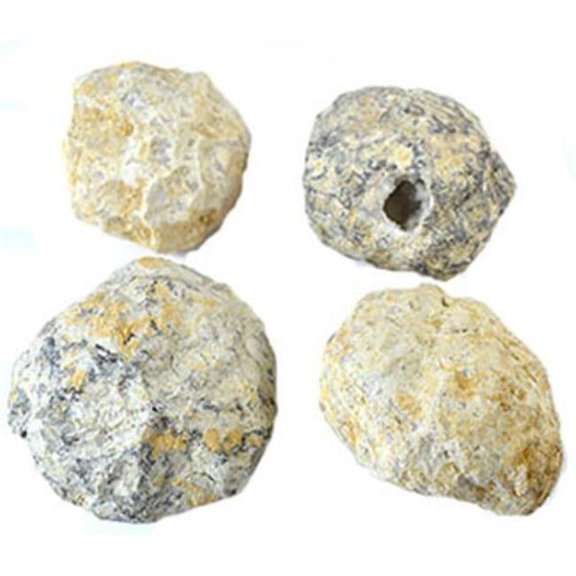 AzureGreen GGEOC 3-4 in. Crackable Geode