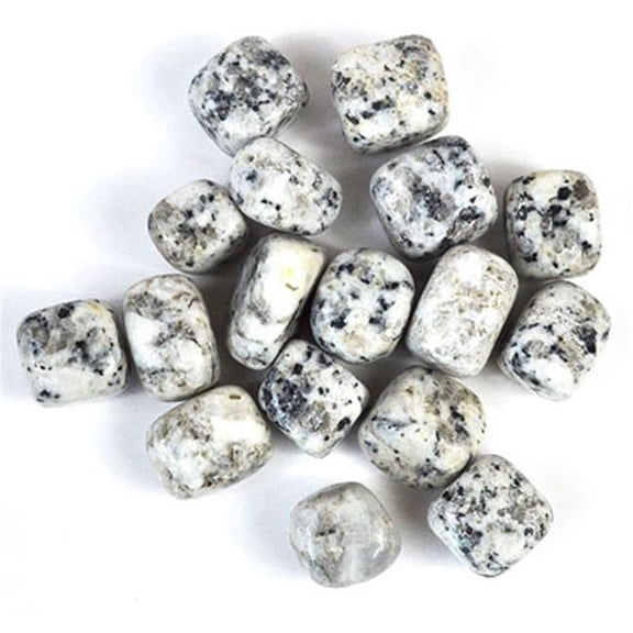 AzureGreen GTDALJB 1 lbs Jasper Dalmation Tumbled Stones