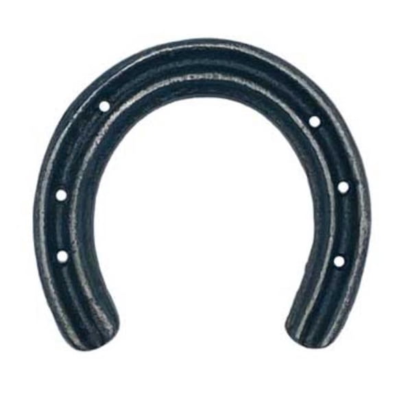AzureGreen RHORGL Good Luck Horseshoe