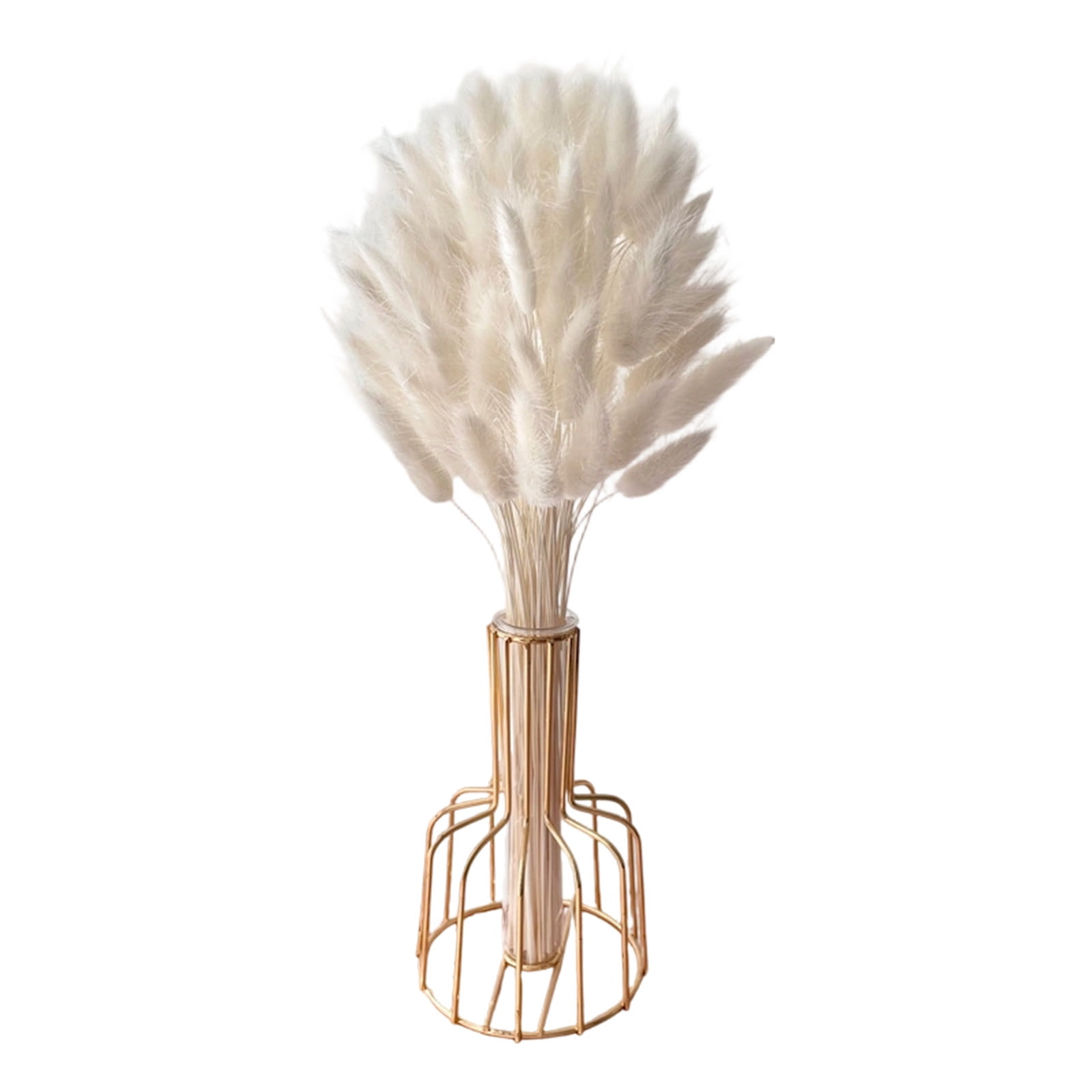 B 60 Stems White Bunny Tails Artificial Dried Flowers Includes Vase For Home Decor And Parties