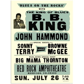 B.B King John Hammond Blues ON The Rocks Metal Wall Art Tin Signs Warning Animal Funny Restaurant Bar Band Newly Married Birthday Party Christmas