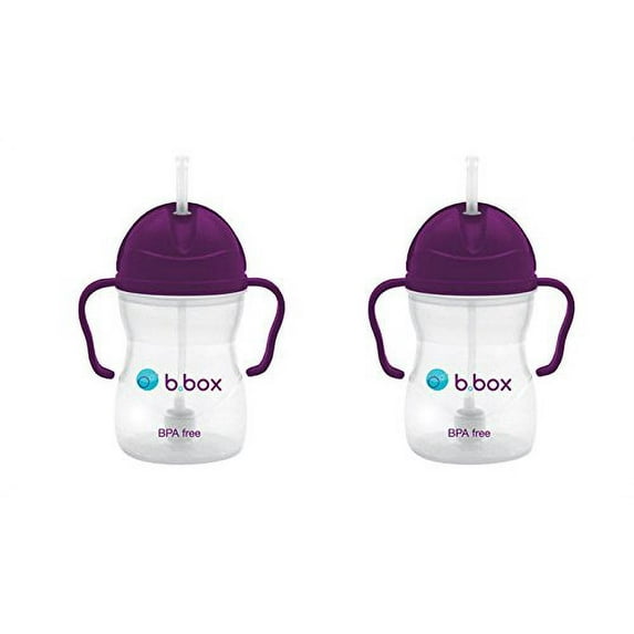 B. Box Sippy Cup (8 oz) 2 Pack Set (Grape)