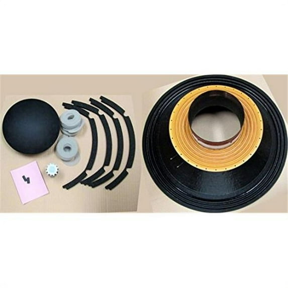B&C R21SW152-4 Studio Subwoofer