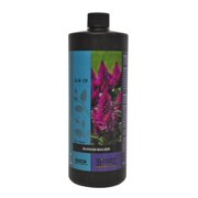 BCuzz Blossom Builder 32oz