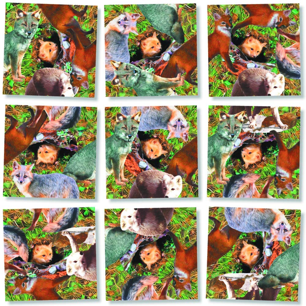 B. Dazzle Foxes 9 Piece Scramble Square Puzzle Challenging Brain
