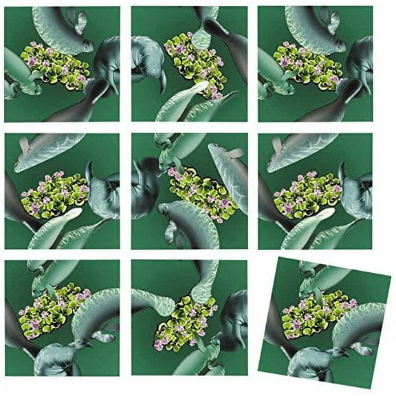 B Dazzle Manatees Scramble Squares 9 Piece Puzzle