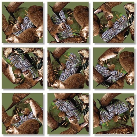 B Dazzle River Otters Scramble Squares 9 Piece Puzzle