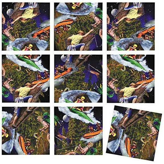 B Dazzle Wilderness Adventure Scramble Squares 9 Piece Puzzle