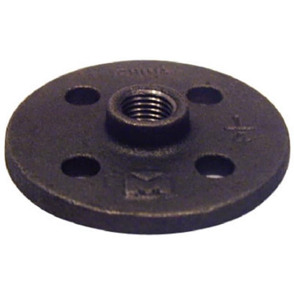 B-FLF02 0.25 in. Black Pipe Floor Flange