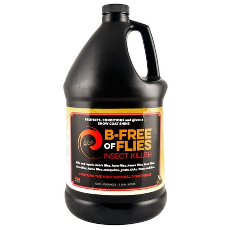B-Free of Flies, gallon
