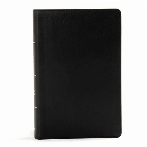 B & H Publishing 134388 KJV Large Print Personal Size Reference Bible, Black Leather Touch