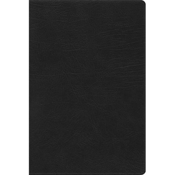 B&H Publishing 140259 RVR 1960 Rainbow Study Bible, Black Imitation Leather