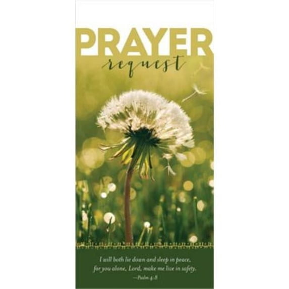 B & H Publishing 152917 Guest Card Safety Prayer Request - Pack of 50