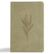 B&H Publishing 399559 CSB Thinline Bible Digital Study Edition - Sage SuedeSoft LeatherTouch