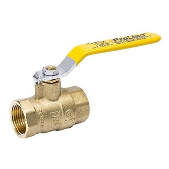 B&K 0.5 in. Threaded Ball Valve