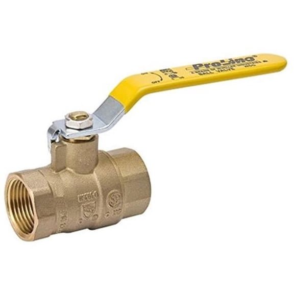 B&K 1.5 in. Threaded Ball Valve