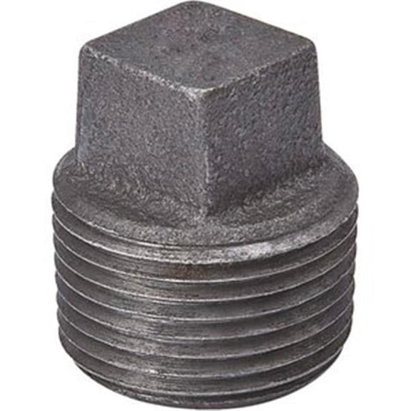 B&K 2 In. Malleable Black Iron Pipe Plug 521-808HN