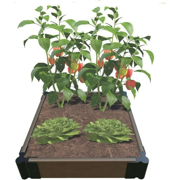 B-Kit 2ft. Straight Raised Garden/Planter Kit