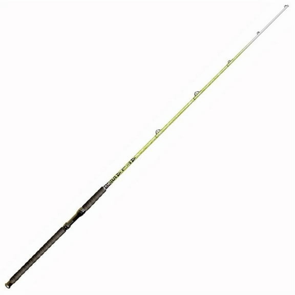 B-N-M ATLAS76 7 ft. x 6 in. B&M Atlas XH Catfish Rod