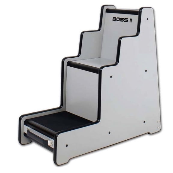 B.O.S.S. II 5s Body Orifice Security Scanner