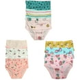 thumbnail image 1 of B&Q's 9-Pack Toddler Little Girls' Cotton Briefs | Sizes 2T-7T for Adorable Comfort, 1 of 5