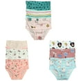 thumbnail image 1 of B&Q's Adorable Comfort: 9-Pack Toddler Little Girls' Cotton Briefs | Sizes 2T-7T for Stylish and Cozy Wear, 1 of 5