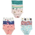 thumbnail image 1 of B&Q's Comfortable Underwear: 9-Pack Cotton Briefs for Toddler Little Girls and Kids | Sizes 2T-7T, 1 of 5