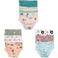 thumbnail image 1 of B&Q's Stylish and Cozy Comfort: 9-Pack Toddler Little Girls' Cotton Briefs | Sizes 2T-7T, Perfect for Adorable Wear, 1 of 5