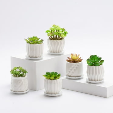 B SEPOR Round White Ceramic Plant Pots with Drainage Holes (6 Count)